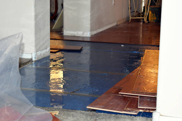 Professional Water Extraction technician working in North Franklin, CT